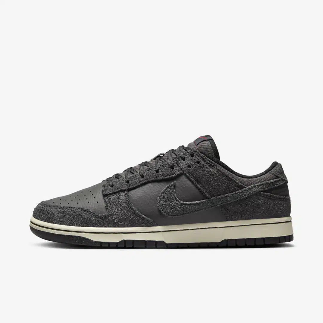 NIKE DUNK LOW RETRO